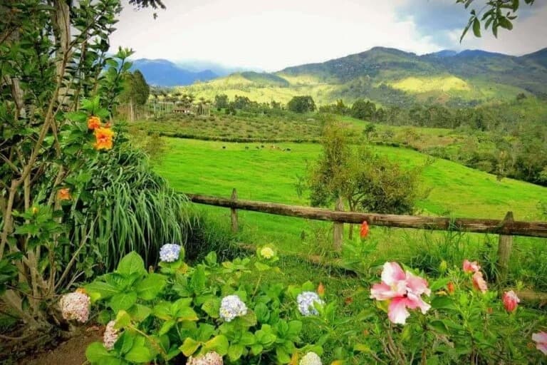 Casa Campestre El Peñon - Imagen 10